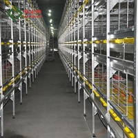 Cages pour poulets de chair de qualité assurée, fabriquées par un fabricant professionnel, avec équipement agricole automatique.