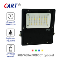 Projecteur LED extérieur 30W, 200-240V, application Tuya WIFI 2.4G, IP66, éclairage de terrain de tennis, éclairage de rue, avec boîtier noir en aluminium