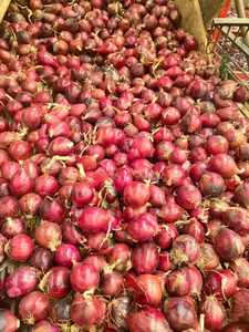 Cebolas Novas Colheita Da China Melhor Preço Vermelho Cebola Amarela Fábrica Exportação Direta Cebola Seca 50lb Bag - Product Image 3