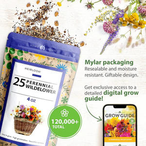 ไวลด์ฟลาวเวอร์25วาไรตี้สไตล์โมเดิร์นแพ็ก4ออนซ์ประสิทธิภาพสูงไม้ยืนต้นกลางแจ้งสำหรับพื้นที่กลางแจ้ง - Product Image 5
