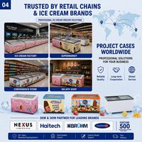 Congelador/Refrigerador Vitrina Exhibidora de Helados y Gelatos con Tapa de Cristal Personalizada, de Una Sola Temperatura, Económico y de Gran Venta