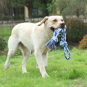 Juguete de Cuerda de Algodón para Masticar para Mascotas, Nuevo de Fábrica, Suministros para Mascotas, Juguete de Cuerda de Algodón Duradero para Limpiar los Dientes de Perros - Product Image 5