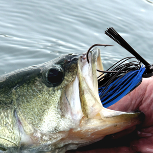6 pezzi/set Set - Flipping Jigs Bass Weedless <span class=keywords><strong>esche</strong></span> nuoto Jigs calcio Jigs con gonne in Silicone pesca Lu - Product Image 4
