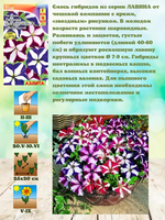 5 Kit de plantes de paquet de truie de jardin de fleurs de pétunia traînantes naturelles belles truies de jardin de fleurs suspendues pour la plantation de sols en utilisant