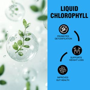 คลอโรฟิลล์เหลวแบบขายส่ง สูตรเฉพาะ ช่วยทำความสะอาด ลมหายใจสดชื่น สนับสนุนการเผาผลาญ ผลิตภัณฑ์เสริมอาหาร - Product Image 5
