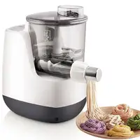 Automatic Electric Pasta Maker, Home Noodle Making Machine