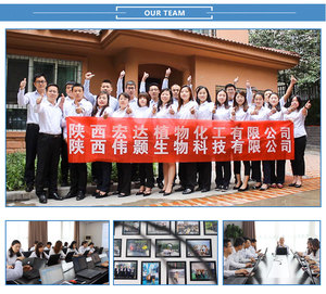 Chiết Xuất Nấm Men Giá Chiết Xuất Nấm Men - Product Image 5