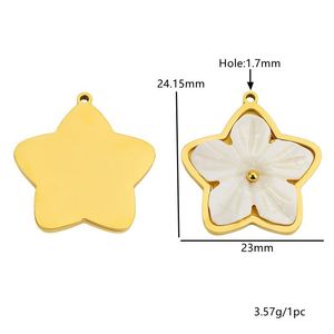 Dijes de Nácar con Forma de Corazón, Flor, Estrella, Ovalados, Irregulares y Rectangulares, con Engaste de Bisel, para Colgantes, Accesorios de Joyería DIY, Unisex, para Uso Diario - Product Image 4