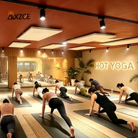 Panneau Chauffant Infrarouge Lointain Prix Usine avec Thermostat Réglable et Contrôle par Application, Couverture 4-8m² pour Studios de Hot Yoga et Pilates