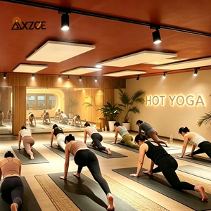 Panel de Calefacción por Infrarrojos Lejanos a <span class=keywords><strong>Precio</strong></span> de Fábrica, Termostato Ajustable, Control por Aplicación, Cobertura de 4-8M2, para Estudios de Yoga y Pilates - Product Image 1