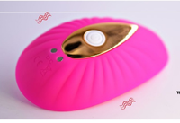 Vibrateurs portables sans fil contrôlés par application, jouets sexuels pour femmes, vibrateurs en forme d'œuf, stimulateur clitoridien féminin, jouets sexuels