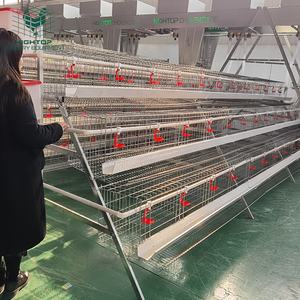 짐바브웨에서 판매되는 새 3단 128마리 수용 닭장, 급이기 설계 타입, 산란계용 가금류 농장용 - Product Image 3