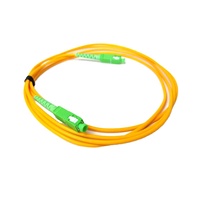 Harga Pabrik Kabel Patch SM G652D Konektor ST/FC/SC/LC Low Loss untuk CATV Diameter 0.9/2.0/3.0mm 1M 3M Panjang Kustom PVC/LSZH