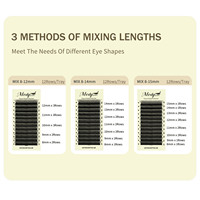 Extensions de cils individuels Medylashes populaires 0,07 mm courbure D, faites à la main, effet 4D Clover, extensions de cils en éventail YY/V W