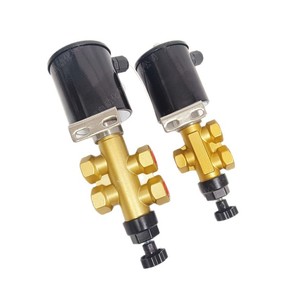 Válvula Solenoide de Acción Directa de Cuatro Vías y Dos Posiciones DFL24-12 para Plantas de Aluminio, Cuerpo de Cobre, Conexión Roscada, Control de Gas - Product Image 1
