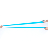 Bandas de Resistencia para Hacer Ejercicio, Bandas de Fisioterapia, Bandas Elásticas y de Ejercicio