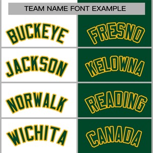 Veste de bombardier de vol à coque souple pour hommes, uniforme de baseball universitaire de haute qualité pour le printemps, support de broderie personnalisé - Product Image 3