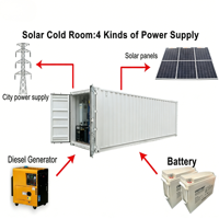 Kontainer Pendingin 40ft Langsung dari Pabrik dengan Panel Surya, Kontainer Ruang Pendingin Bertenaga Surya, Freezer Bertenaga Surya untuk Daging