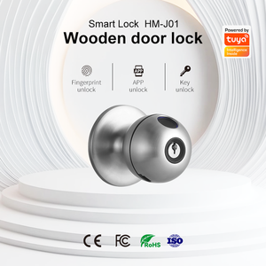 DIY kurulum akıllı parmak izi kilidi WiFi APP tuş kod anahtar giriş dijital sürgü için ahşap çelik güvenlik kapısı - Product Image 2