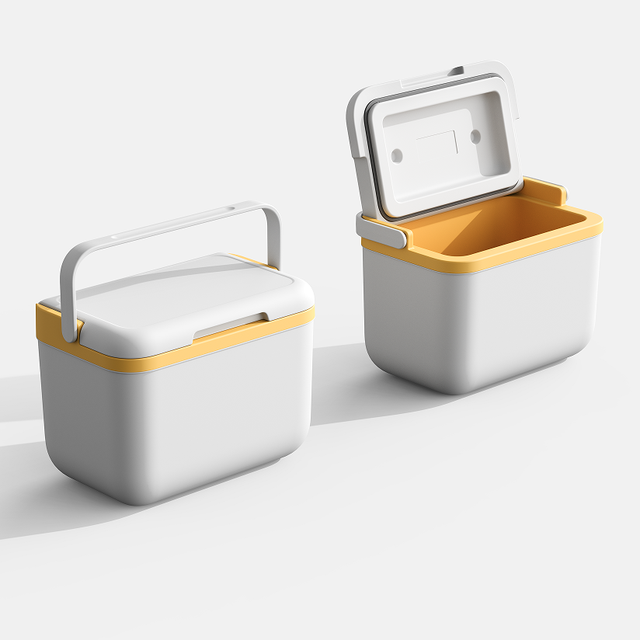 High-Grade New Customized Colors Lightweight Mini 6L Plastic Hard Insulated EPS Box Cooler Box with Handle & Sealing Ring
