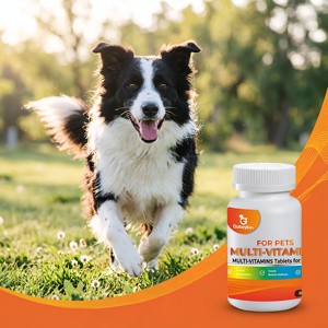 Multivitamínico Masticable para <span class=keywords><strong>Perros</strong></span> con Glucosamina, <span class=keywords><strong>Vitaminas</strong></span> y Suplementos para <span class=keywords><strong>Perros</strong></span>, Multivitamínico para Cachorros Mayores, Soporte para las Articulaciones de la Cadera de los <span class=keywords><strong>Perros</strong></span> - Product Image 1
