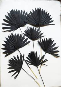 Fleurs et plantes stabilisées personnalisées à prix avantageux, très demandées, pour arrangements floraux : Pampas, Palmier <span class=keywords><strong>Soleil</strong></span>, Palmier <span class=keywords><strong>Noir</strong></span> - Product Image 2