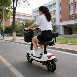 Vélo d'équilibre électrique 2025 en promotion, 350W 48V, auto-équilibrant, avec lumières LED, pour adultes, loisirs en extérieur et en famille, et voyages - Product Image 1