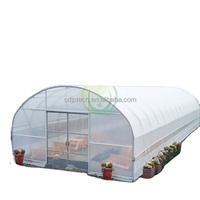 Agriculture protection uv film de serre en plastique pour les ventes hangar en plastique revêtement de serre