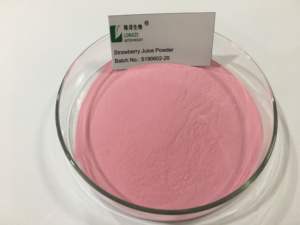 Poudre de fruits à base de plantes sauvages d'extrait de fraise de polyphénol 10% biologique dans un emballage de tambour vente chaude - Product Image 6