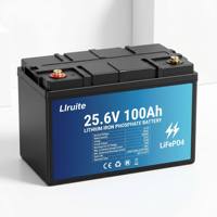 Batterie LiFePO4 25,6 V 50 Ah 100 Ah 200 Ah 300 Ah 400 Ah à décharge profonde pour camping-car, bateau, voiturette de golf, solaire