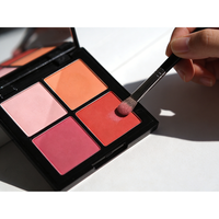 Palette de poudre de fard à joues minéral longue durée à étiquette privée OEM/ODM avec des finitions mates et scintillantes - Faible MOQ Maquillage