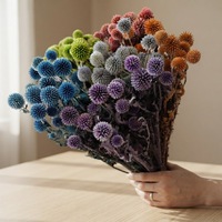 Groothandel in geconserveerde Echinops Bannatcus, echte natuurlijke blauwe distel voor thuis- en bruiloftdecoratie en bloemstukken
