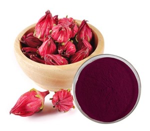 Yeni verilen doğal Roselle <span class=keywords><strong>Hibiscus</strong></span> özü tozu 10% kurutulmuş saf hatmi çiçeği cilt beyazlatma gıda renk bitki özü - Product Image 1