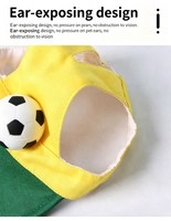OEM ODM Coupe du Monde de Football 2026 Ensemble Chapeau et Bandana pour Animaux de Compagnie, Costume de Supporter de Football pour Chien et Chat