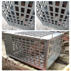 Piège à souris sans cruauté, cage robuste en fer, piège à rats à porte unidirectionnelle, attrape-rongeurs domestique, outil de lutte antiparasitaire - Product Image 2