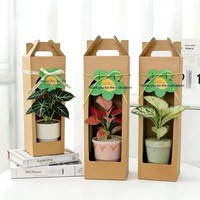 Boîte cadeau personnalisée en papier kraft avec fenêtre et poignée, emballage en carton pour pot de fleurs, idéal pour la vente au détail de plantes succulentes en pépinière