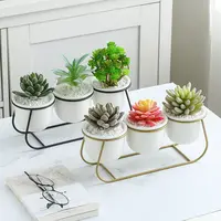 Kreative ins trapezförmige dreiteilige Eisen Keramik Sukkulenten Eisen Rahmen kombiniert Blumentopf Set