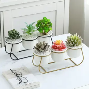 Créatif ins trapézoïdal trois pièces fer céramique succulent cadre en fer combiné pot de fleur ensemble