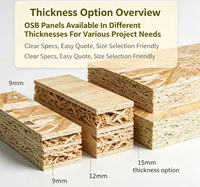 Panneau OSB3 (Oriented Strand Board) 4x8 pieds pour projets de modification de murs et de sols de maisons préfabriquées en conteneurs