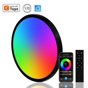 Phong Cách Mới Tùy Chỉnh 220V 24W Wifi Thông Minh Ứng Dụng Chiếu Sáng Điều Khiển Từ Xa Đèn Trần LED Thông Minh Ánh Sáng Trần Cho Ánh Sáng Phòng Tắm - Product Image 3