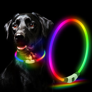 LED 개 목걸이 7 색 라이트 업 목걸이 USB 충전식 방수 TPU 빛나는 야간 안전 개 목걸이 - Product Image 1