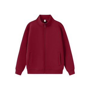 2025 Style américain hommes haut de haute qualité confortable vêtements de sport décontractés fermeture éclair luxe neutre épais couleur unie vêtement teint - Product Image 1