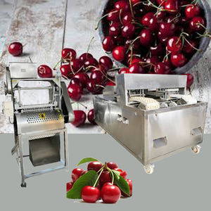Machine à dénoyaouter les olives et les cerises automatique professionnelle à vendre à prix avantageux - Product Image 1