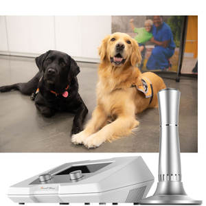 Pourquoi choisir la thérapie par ondes de choc pour la santé équine et animale - Product Image 1