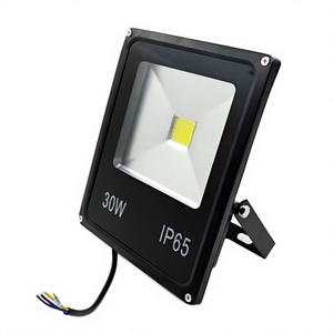 30W LED Floodlight with Warm White CCT IP67 Aluminum Black Housing Outdoors AC Power Source SMD Chip Garden Use - Product Image 2
