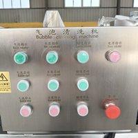 Volledig automatische groentewasmachine met bubbelsysteem voor voedselverwerkingsfabrieken