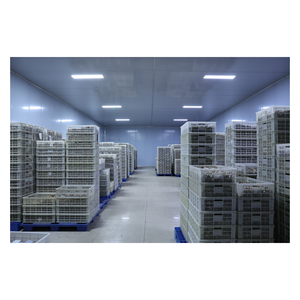 Nouvelle Saison <span class=keywords><strong>Ail</strong></span> <span class=keywords><strong>Noir</strong></span> Séché Fermenté Naturellement, Doux et Riche en <span class=keywords><strong>Bienfaits</strong></span> pour la Santé, Assaisonnement à l'<span class=keywords><strong>Ail</strong></span> <span class=keywords><strong>Noir</strong></span>, Disponible en 250g et 500g - Product Image 6