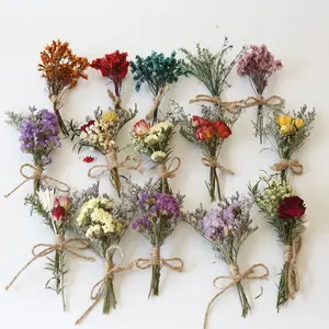 Dried Daisy Flowers