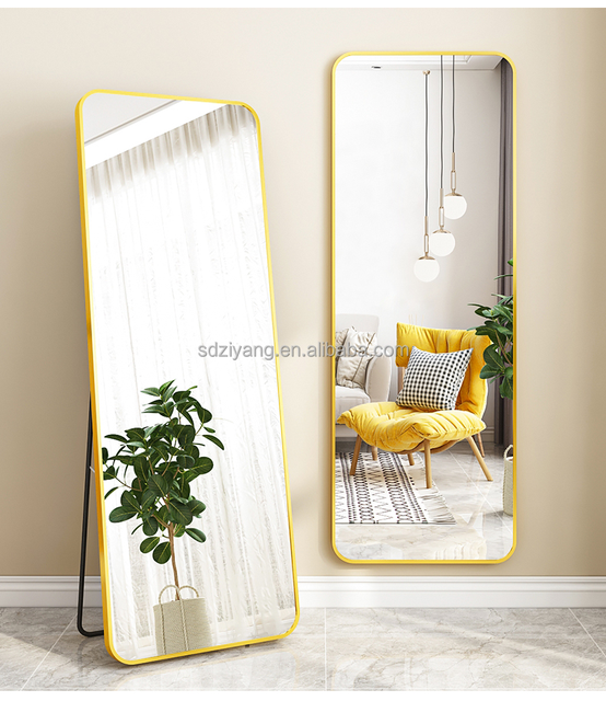 Full Length Floor Standing Hanging Mirror with Stand Eco-friendly Silver Glass Contemporary Design Decorative
