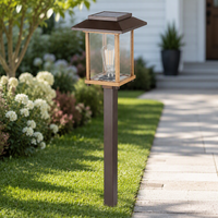 Lampe solaire marron pour allées, pelouses, patios et parterres de fleurs, ampoule Edison universelle 2700K 5062, 14 lumens, pile AA